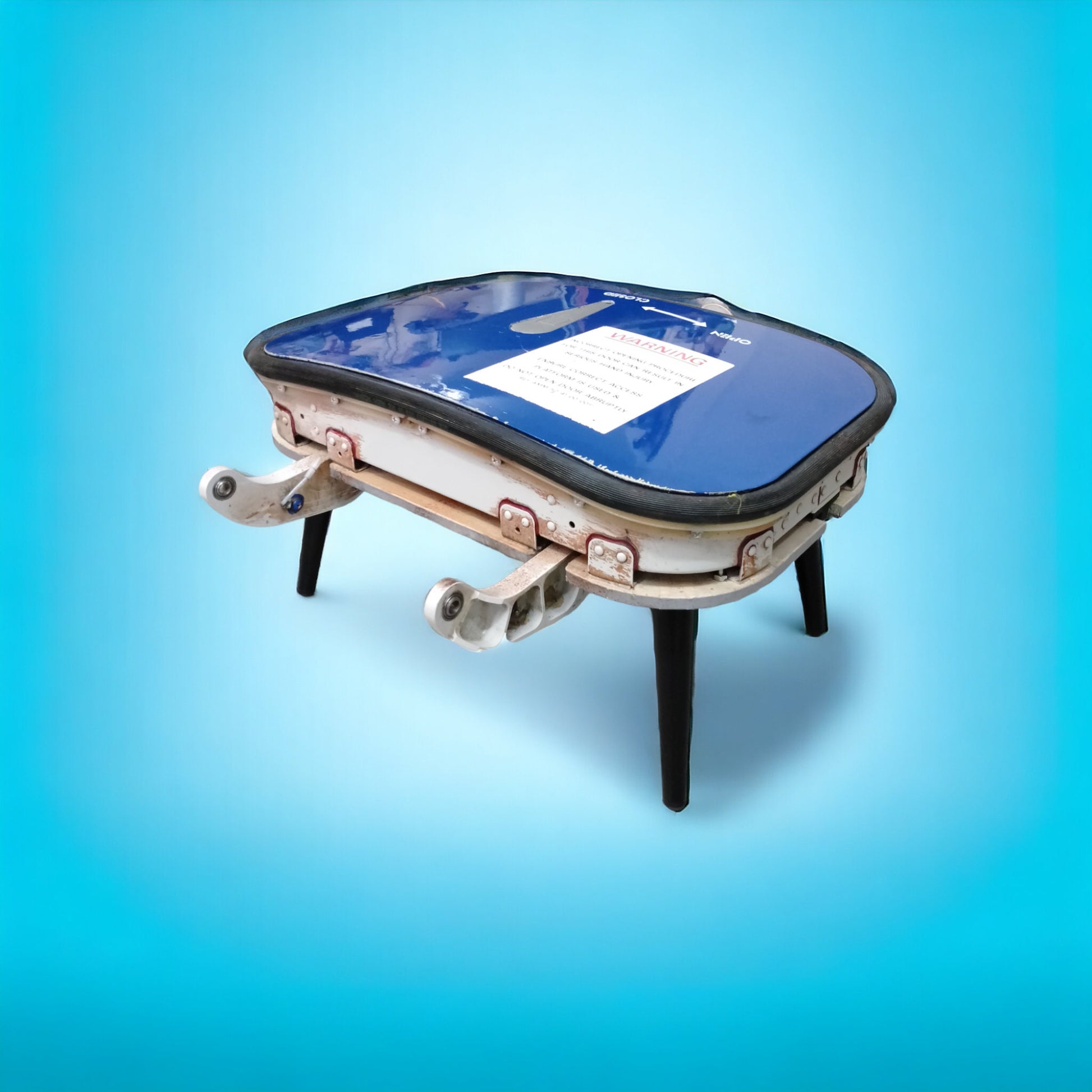 Airbus A319 British Airways G-EUPE Coffee Table Avionics Bay Door