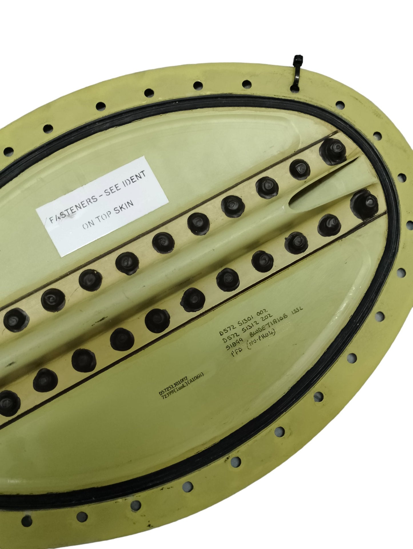 Airbus A319 Wing Fuel Access Panel TAM Linhas Aéreas PT-MZF Aviation Fuselage