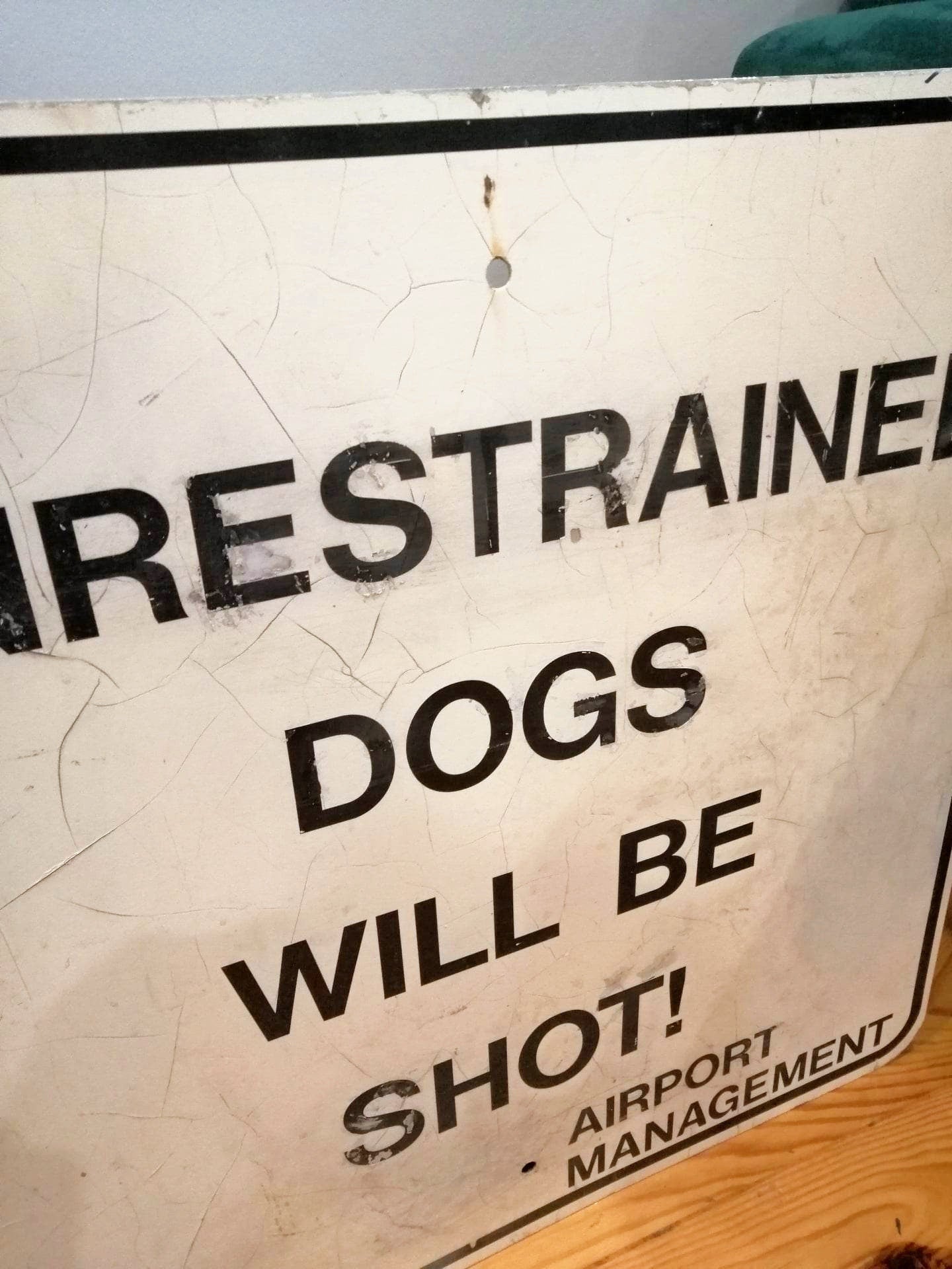 Unusual Vintage Airport Warning Sign - Unrestrained Dogs Will be Shot - Airport Management