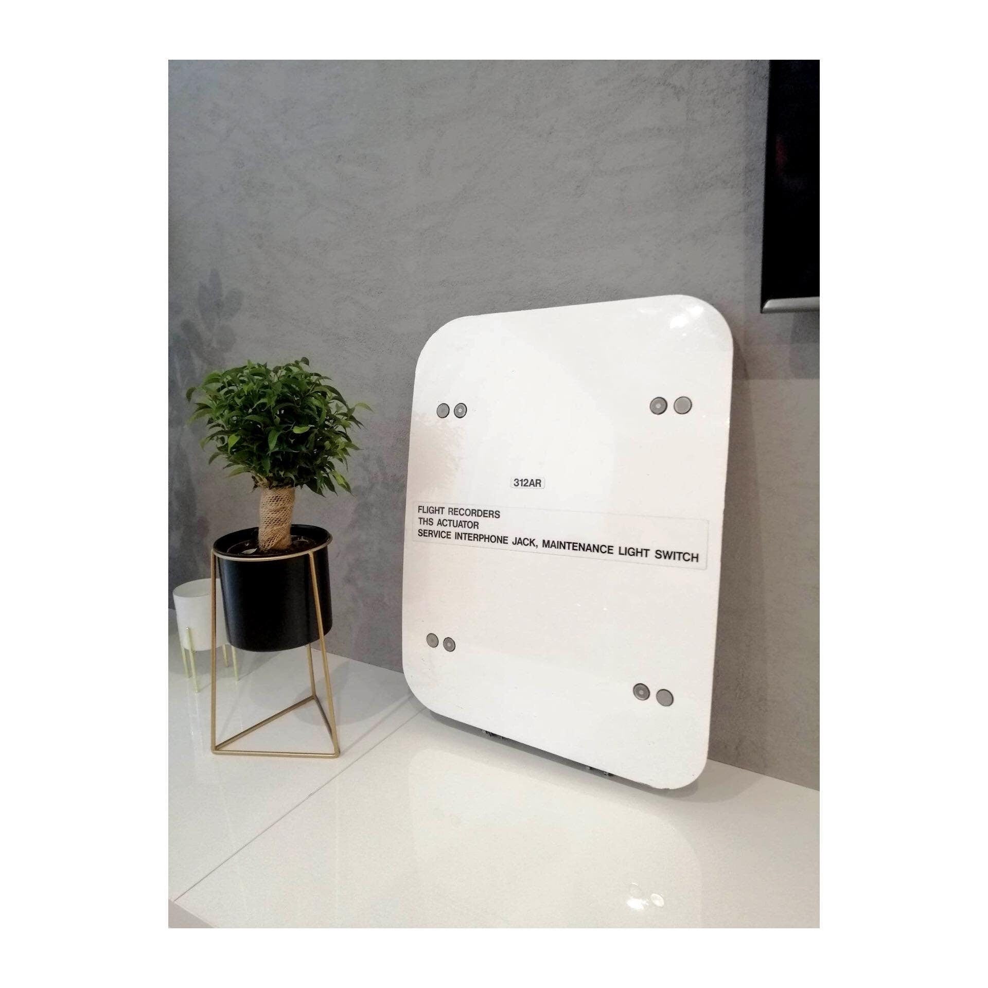 Brussels Airlines Airbus A319 OO-SSC Access Door, Aviation, Aircraft Fuselage, Sabena