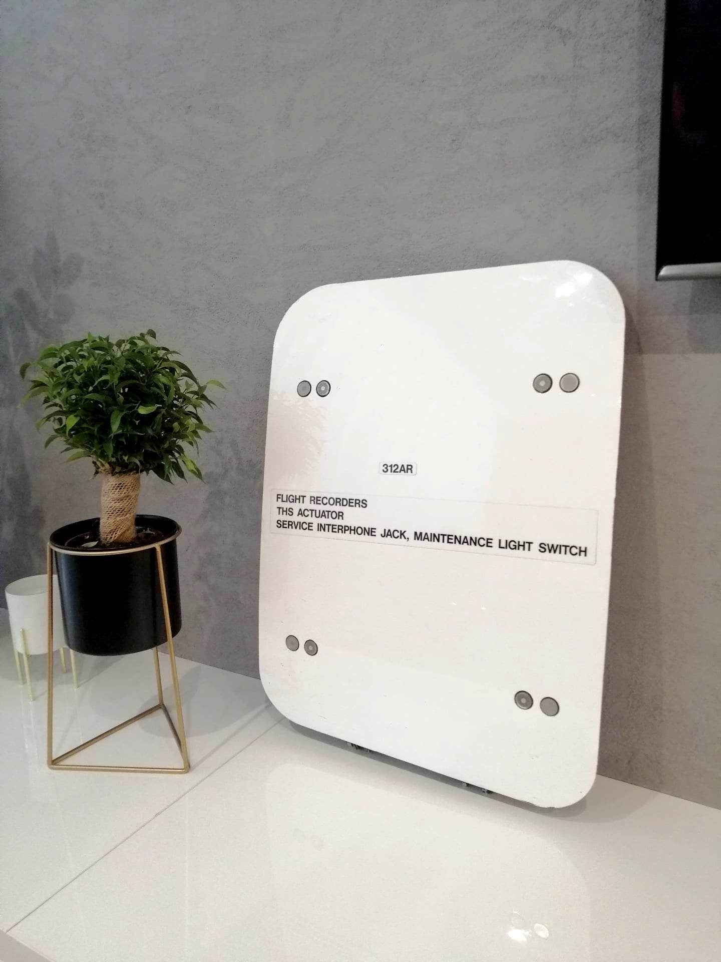 Brussels Airlines Airbus A319 OO-SSC Access Door, Aviation, Aircraft Fuselage, Sabena