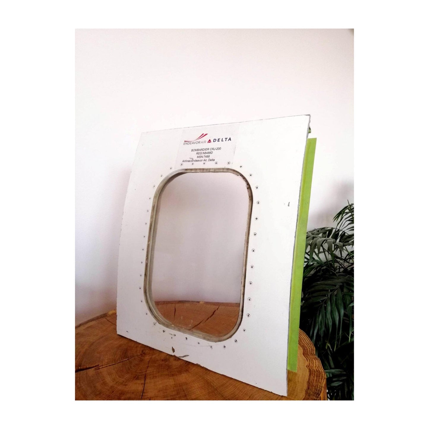 CRJ 200LR REG N8488D | Authentic Aircraft Window Cut Fuselage | Endeavor Air Delta Nortwest | Aviation Decor Furnishing Pilot Gift