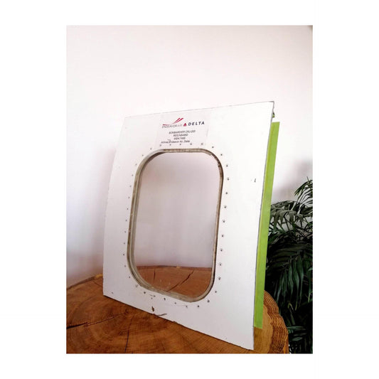 CRJ 200LR REG N8488D | Authentic Aircraft Window Cut Fuselage | Endeavor Air Delta Nortwest | Aviation Decor Furnishing Pilot Gift