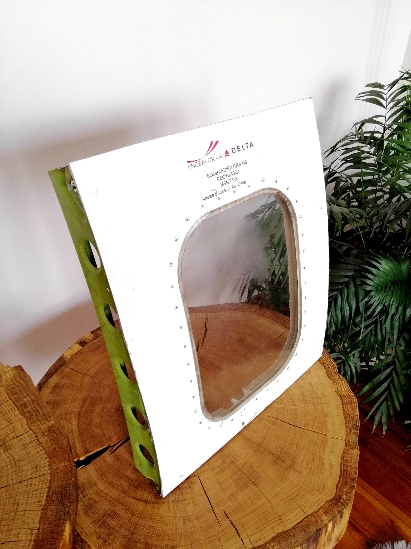 CRJ 200LR REG N8488D | Authentic Aircraft Window Cut Fuselage | Endeavor Air Delta Nortwest | Aviation Decor Furnishing Pilot Gift
