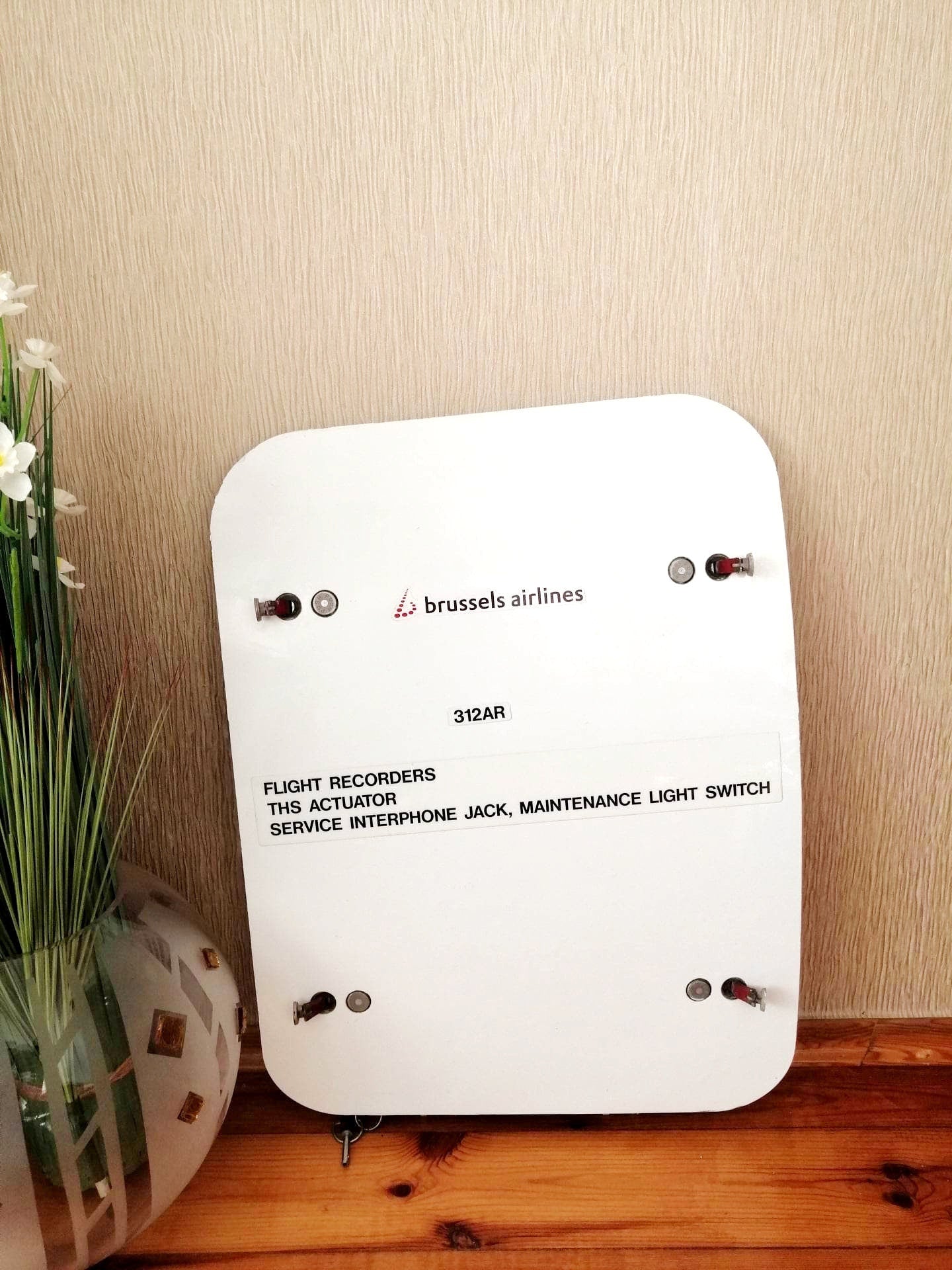 Brussels Airlines Airbus A319 OO-SSC Access Door, Aviation, Aircraft Fuselage, Sabena