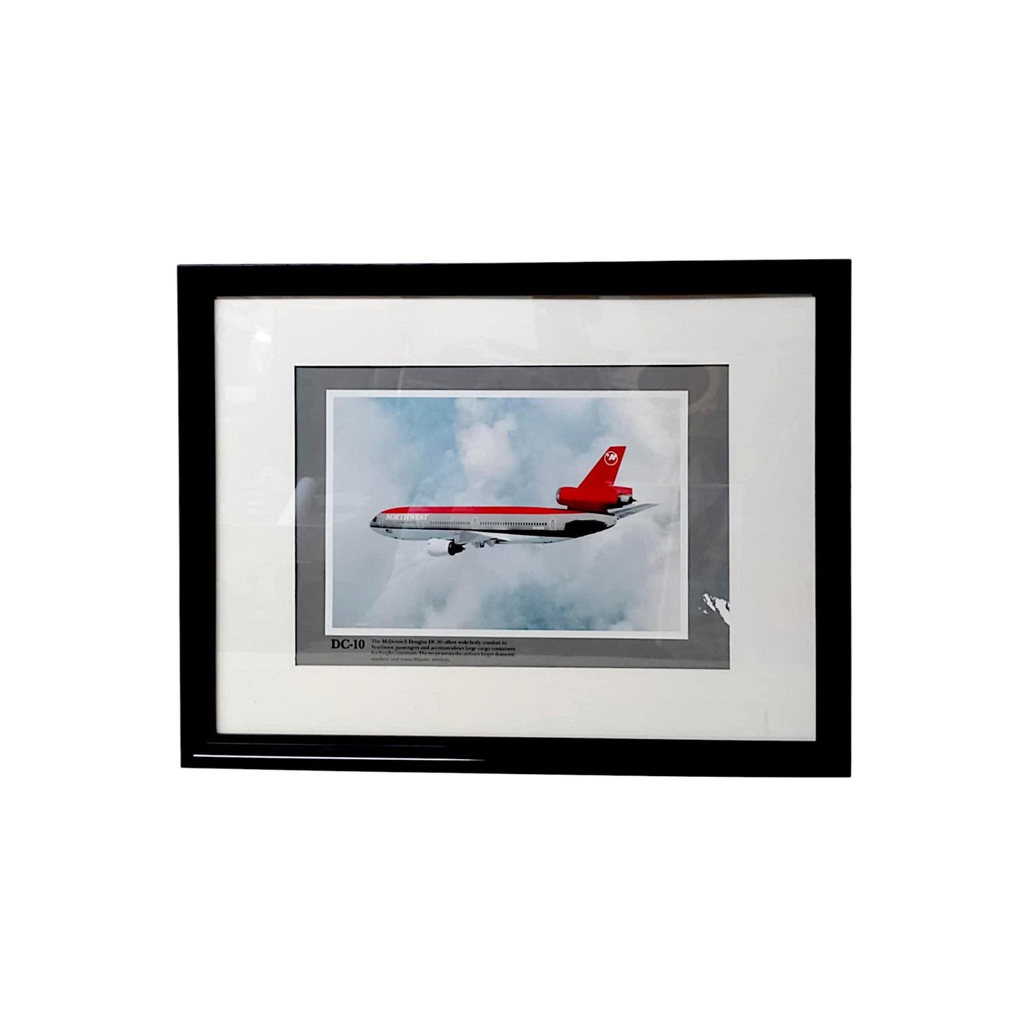 McDonnell Douglas DC-10 N149US Northwest Airlines Original Framed Vintage Poster