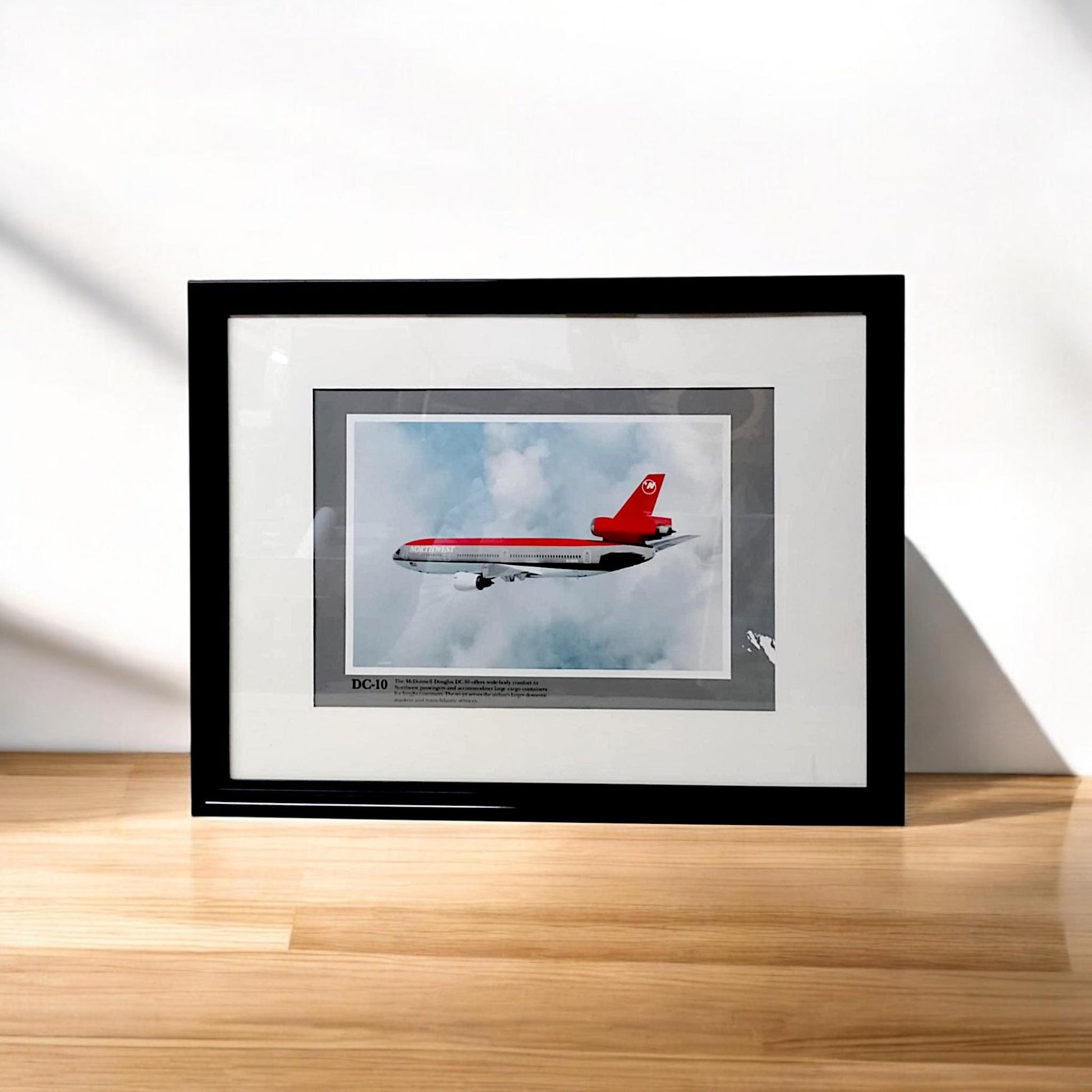 McDonnell Douglas DC-10 N149US Northwest Airlines Original Framed Vintage Poster